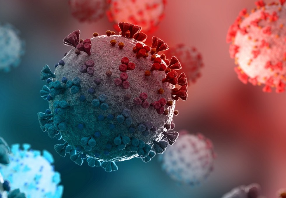 Virus