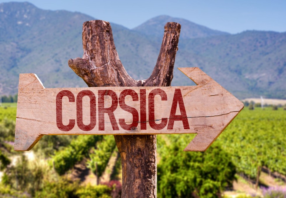 Corse