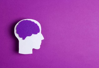cerveau