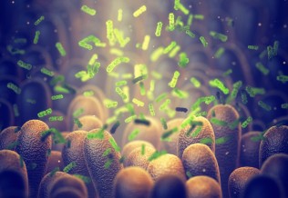 microbiote