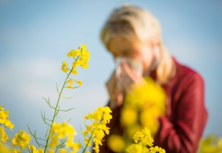 allergies