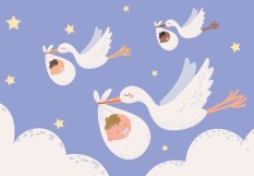 Cigognes portant des bébés