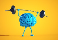 Cerveau