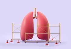 poumons