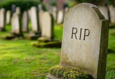 rip