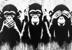 Singes